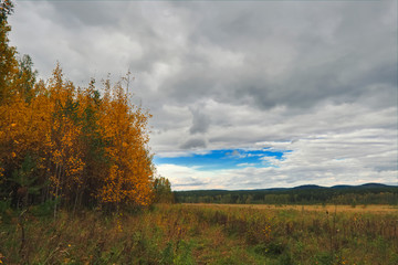 Sunset at the forest edge. Autumn landscape.
