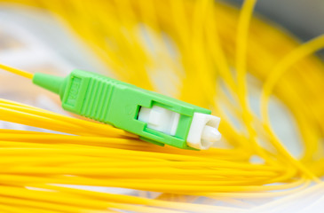 Fiber Optic Pigtail Cables in Distribution Panel
