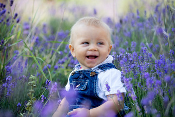 Sweet toddler child in casual cloths, sitting in lavender field, smiling