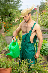 shirtless gardener with straw hat watering flowers