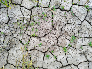 Cracked dry ground. Background, top view.