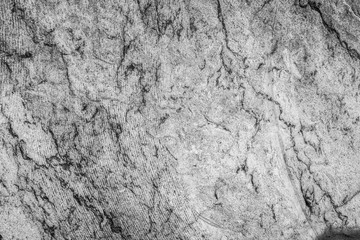 Texture of black and white raw marble with traces of saw for the background.