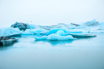 Blue icebergs in Jokulsarlon glacial lagoon in foggy day, southern Iceland. Beautiful icelandic landscapes