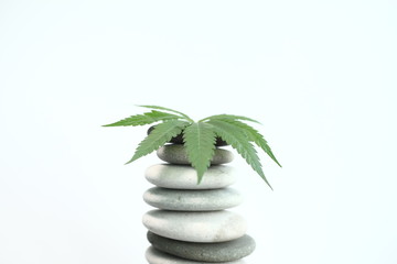 Fototapeta na wymiar Medical marijuana cannabis cbd oil