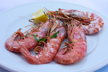 Large grilled shrimps on round white plate with cutted lemon and chopped parsley. Delicious fresh prepared seafood