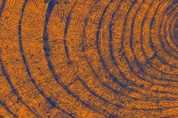 Creative layout made of cross section of the tree with many annual rings, wooden background, tree...
