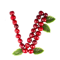One English letter V Alphabet of ripe cherries. Isolate on white background. Summer, healthy concept.