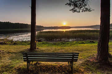 empty bench in the park