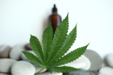 Medical marijuana cannabis cbd oil