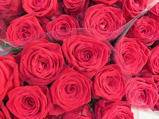 Red roses