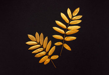Fototapeta na wymiar Flat lay creative autumn composition. Golden leaves on black background top view copy space. Fall concept. Autumn background. Minimal concept idea, floral design