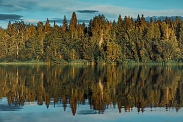 Landscape forest river shore reflection in the water. The picture resembles a sound wave.