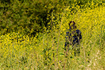 Solitary woman in dark clothes walking among yellow mustard wild flowers.