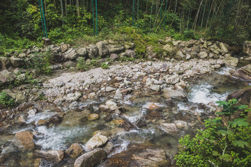 Creek between bamboo forest in Mingyue Mountain, China