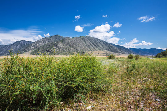 Landscape at Cardona Kur - Kechu. Altai Republic, Russia