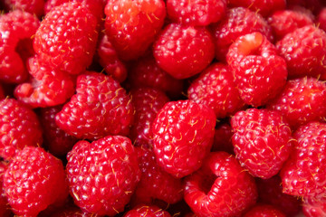 Fresh raw organic raspberries on a plate