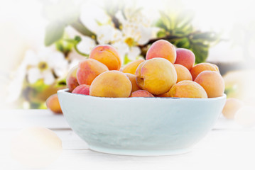 apricots in a bowl on a background of a flowering branch