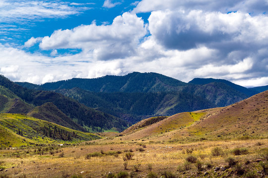 Landscape at Cardona Kur - Kechu. Altai Republic, Russia