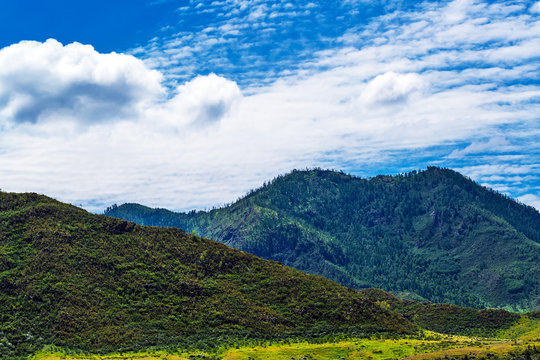 Landscape at Cardona Kur - Kechu. Altai Republic, Russia