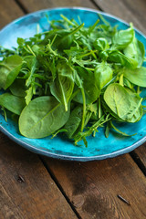 Healthy salad, leaves mix salad (mix micro greens, juicy snack). food background - Image