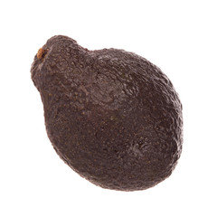 black avocado isolated on white background