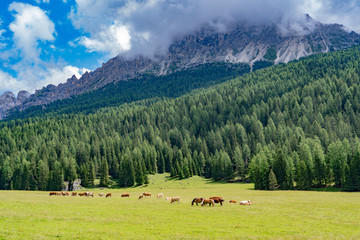 Italian Dolomites 