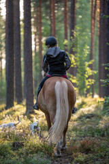 Woman horseback riding in forest and meadow