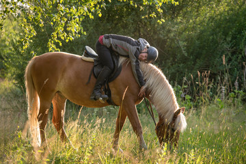 Woman horseback riding in forest and meadow