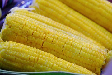 A group of boiled sweet corns in a tray and selling at the night market