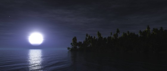 The moon over the sea. Night jungle