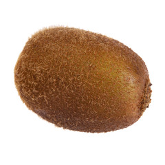 fresh single kiwi isolated on white background