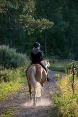 Woman horseback riding in forest and meadow