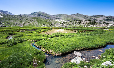 les eaux tortes