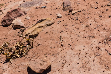 View of The High Place Of Sacrifice Trail in Petra, Jordan
