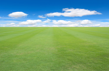 green field and blue sky