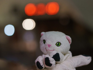 White toy kitten on the blurred city background