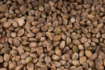 heap of fresh cannabis seeds background