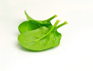 fresh spinach leaves on white background
