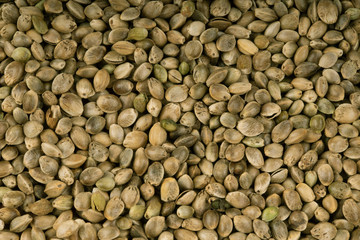 heap of fresh cannabis seeds background