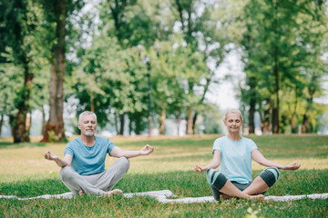 Fototapeta premium mature man and woman meditating with closed eyes while sitting in lotus poses on lawn in park