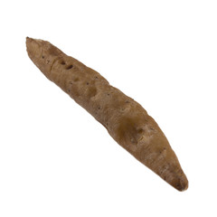 fresh single fingeroot isolated on white background