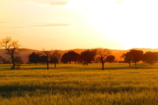 Parque Nacional de Caba&ntilde;eros