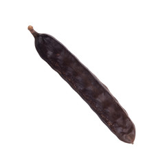 dried long carob pod isolated on white background