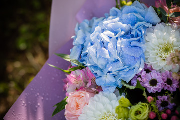 beautiful blossoming flower bouquet of fresh hydrangea, roses, eustoma, mattiola, flowers in blue, pink and white colors. rich bouquet with blue hydrangea, with water drops. Happy holidays gift.