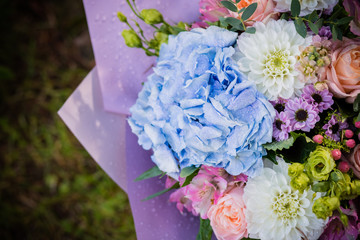 beautiful blossoming flower bouquet of fresh hydrangea, roses, eustoma, mattiola, flowers in blue, pink and white colors. rich bouquet with blue hydrangea, with water drops. Happy holidays gift.