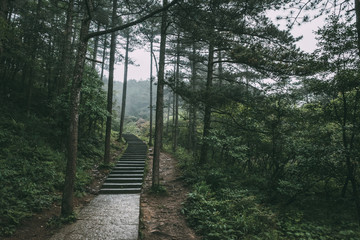 Obraz premium Path in forest in Mingyue Mountain, Jiangxi, China
