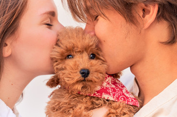 girl and guy holding curly cute puppy, kiss hug