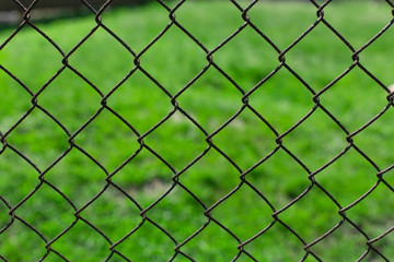 Fototapeta premium Green lawn on a metal mesh netting