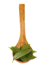 heap of bay leaves isolated on white background. top view