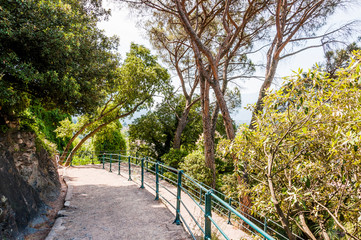 Meran, Tappeinerweg, Panoramaweg, Spazierweg, Dorf Tirol, Touristen, Vinschgau, Sommer, Südtirol, Italien